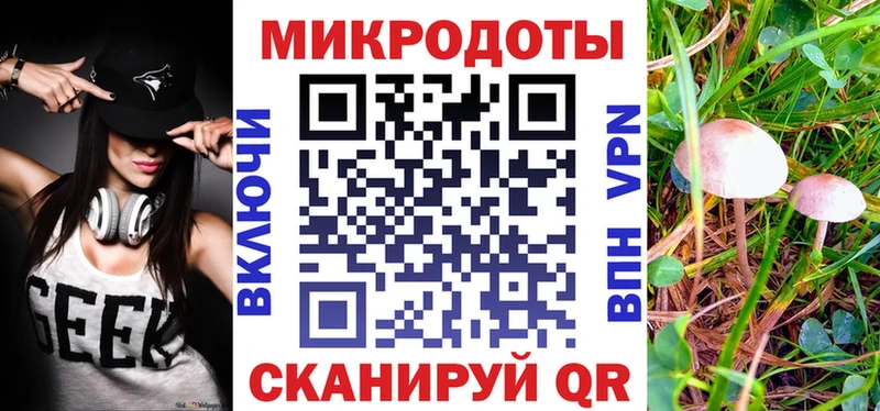 Галлюциногенные грибы Psilocybe Обь